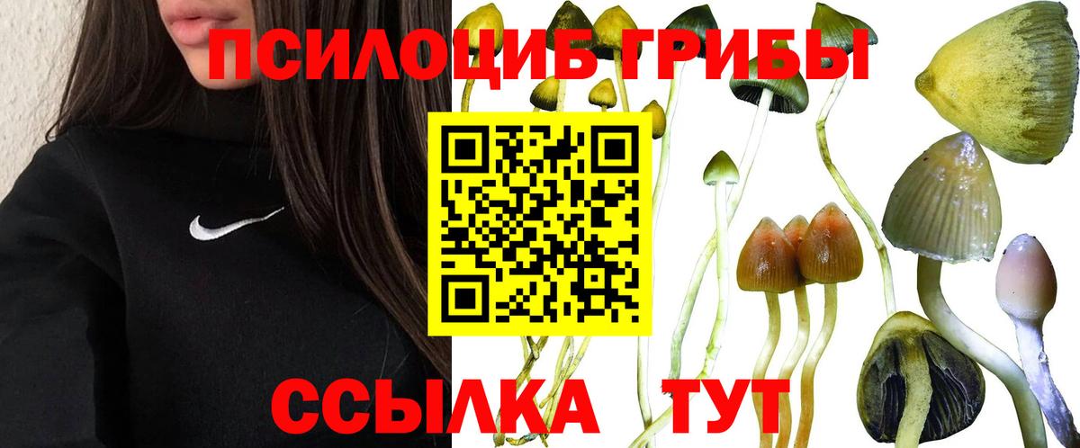 Псилоцибиновые грибы прущие грибы  Вход с VPN  Псилоцибиновые грибы Cubensis  Белорецк 