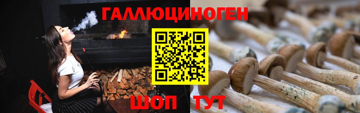 Галлюциногенные грибы Psilocybine cubensis Белорецк